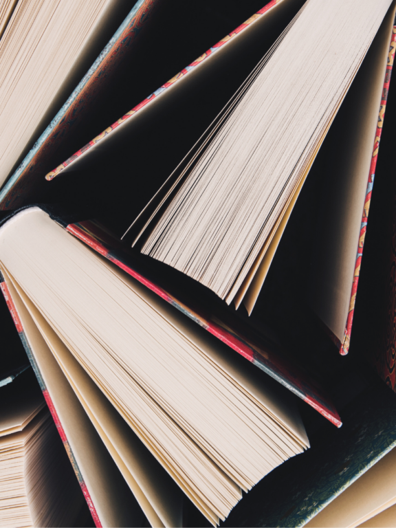 My Favorite Books of 2024