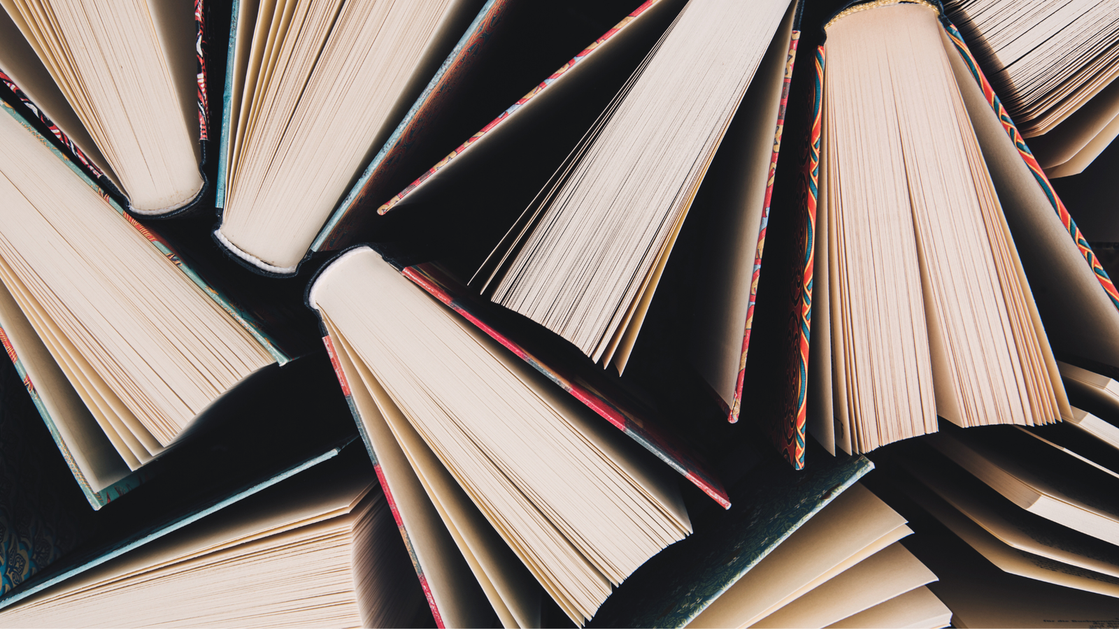 My Favorite Books of 2024