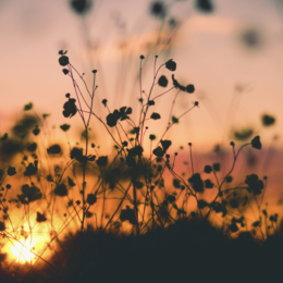 My Favorite Books of 2024